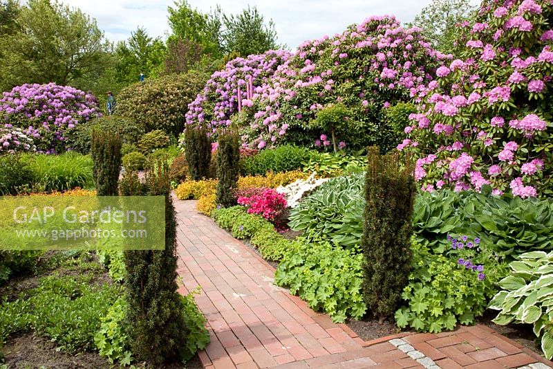 Garden view with perennials and rhododendron 