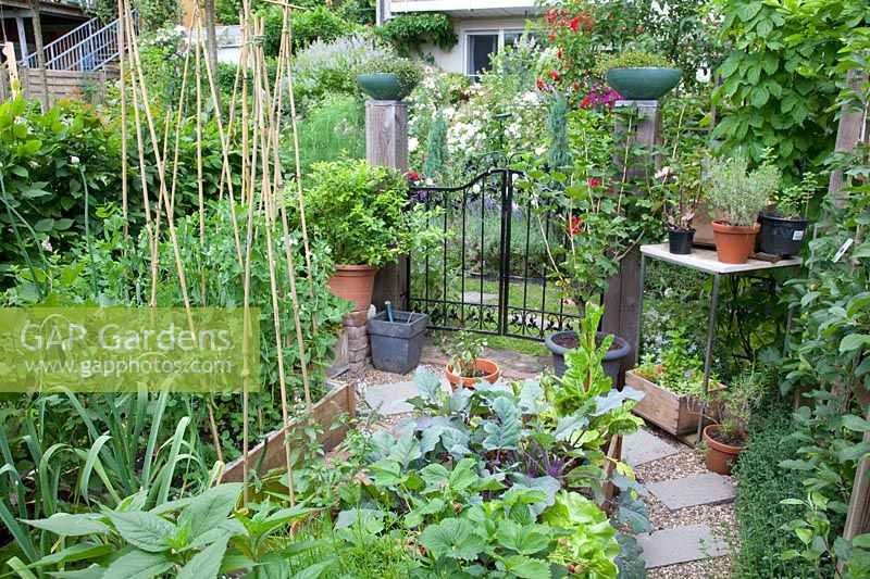 Small vegetable garden 