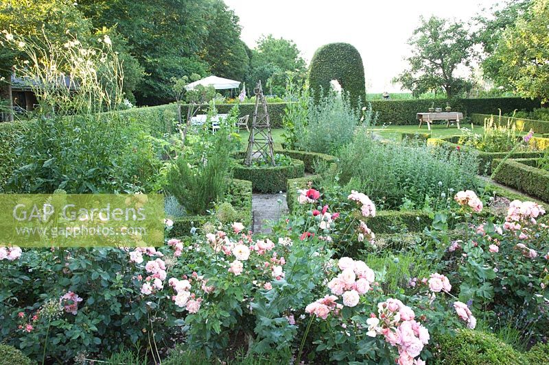Garden with Rosa Marie Curie 
