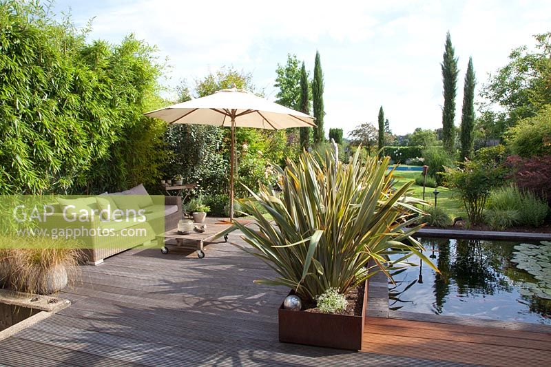Terrace with New Zealand flax in a planter made of Corten steel, Phormium tenax Variegata 
