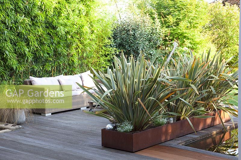 Terrace with New Zealand flax in a planter made of Corten steel, Phormium tenax Variegata 