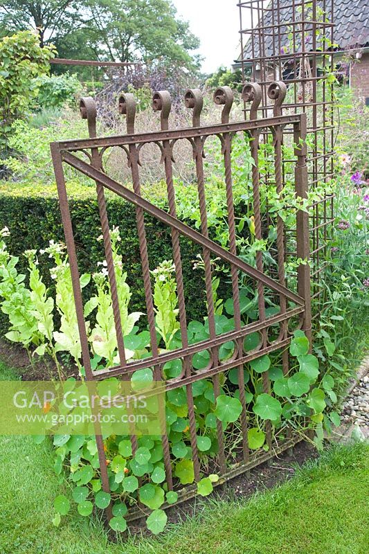 Garden gate made of strip steel 