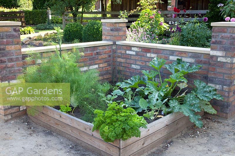 Vegetable bed with fennel, zucchini and parsley 