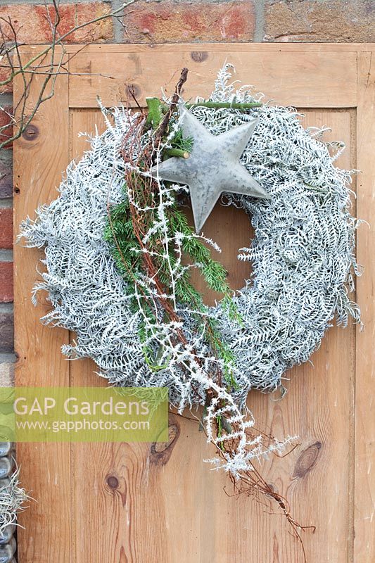 Christmas wreath with grey sprayed fern leaves 