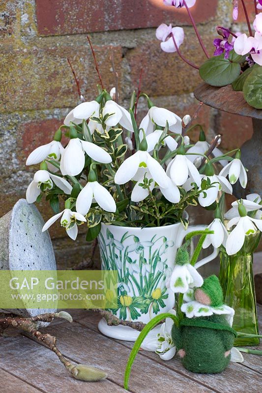 Decoration with snowdrops, Galanthus 