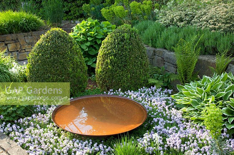 Bed with rust water bowl and thyme, Thymus longicaulis odoratus 