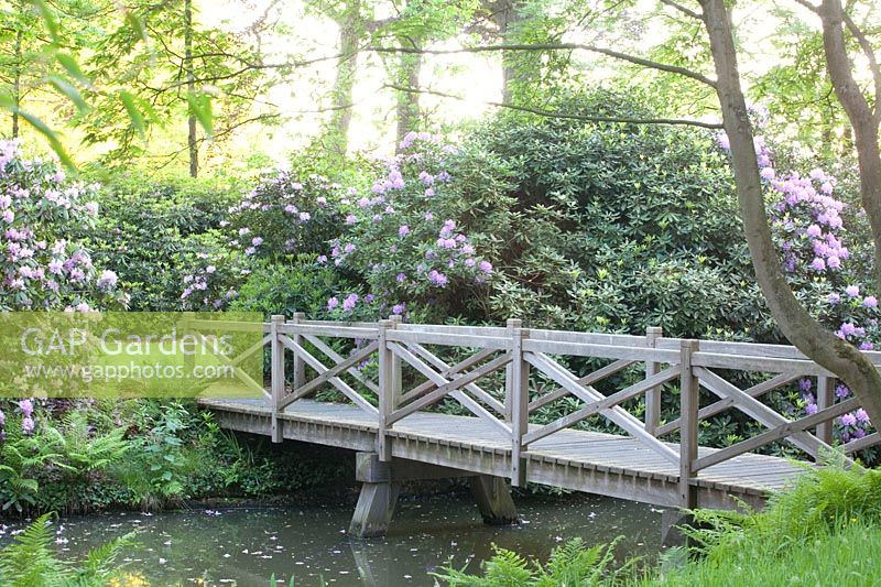 Bridge in a landscape garden 