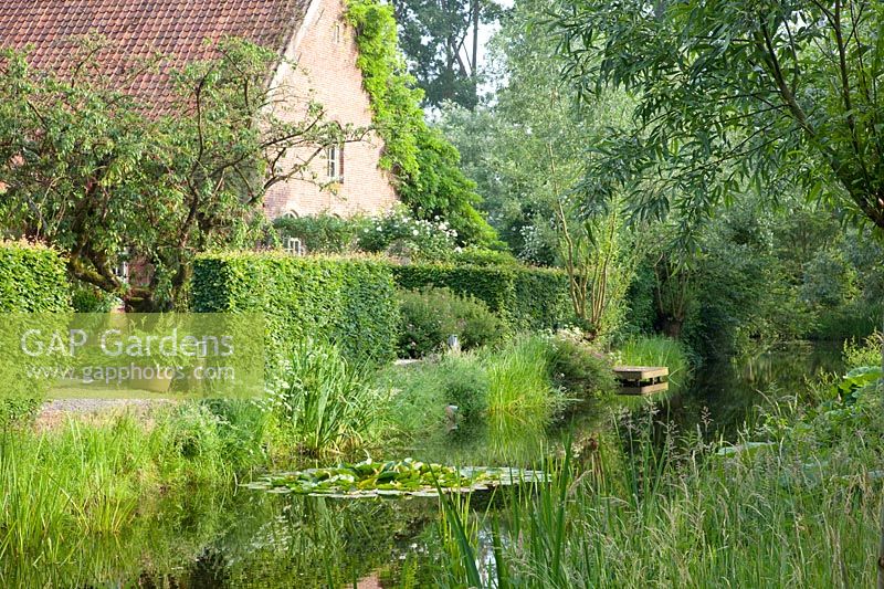 Canal in the garden 