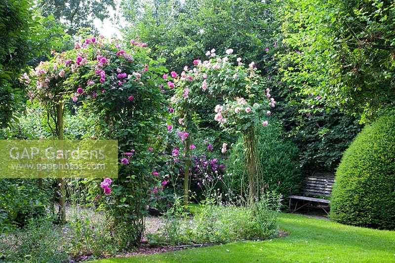 Rose arches with bench 