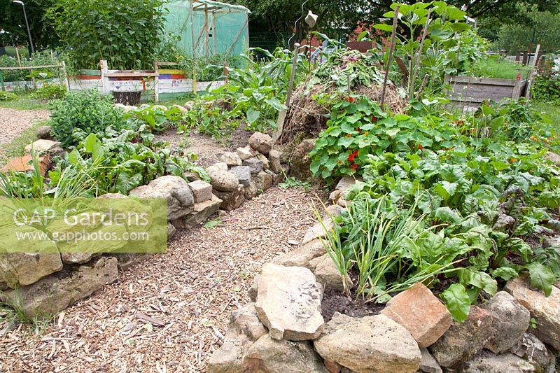 Small vegetable patch with compost heap and beetroot, Beta vulgaris 