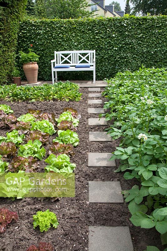 Vegetable garden with stepping stones 