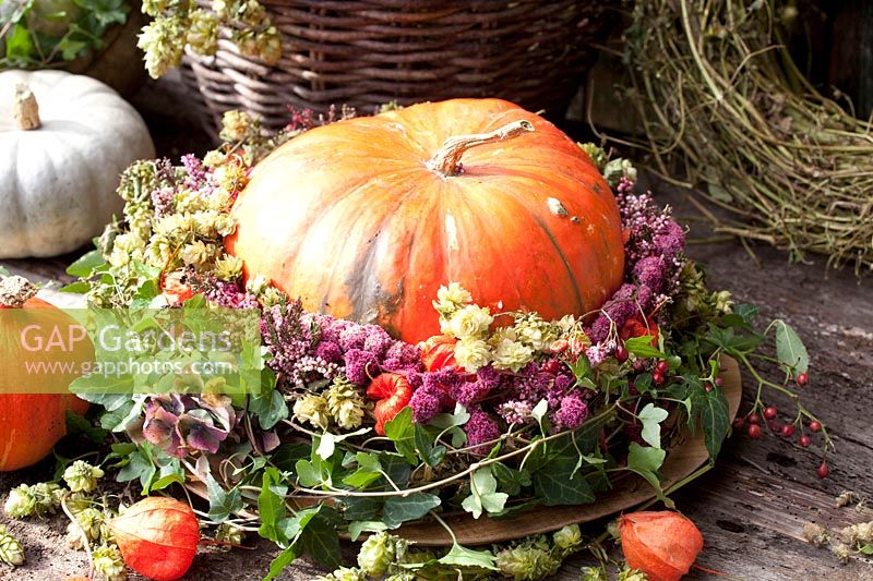 Wreath with pumpkin, Cucurbita 