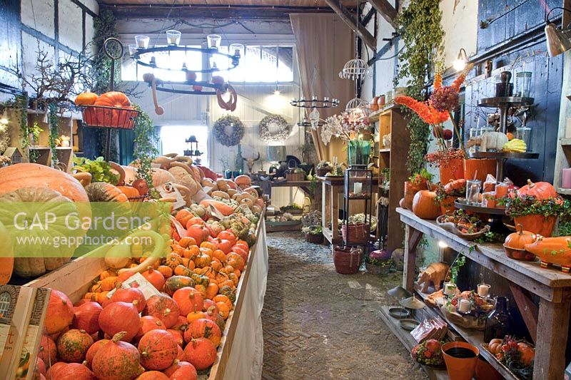 Pumpkin exhibition Hof Ligges 