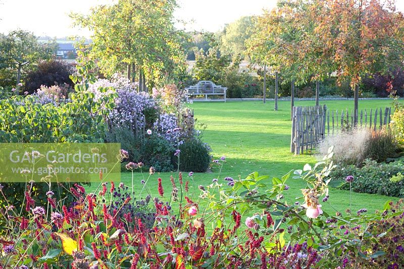Garden in autumn with perennials and ornamental apple trees, Malus Evereste 