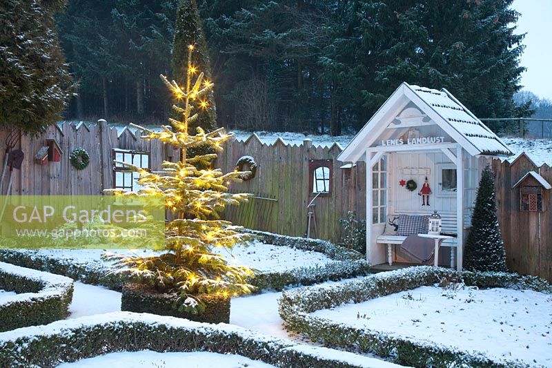 Garden in winter with illuminated Christmas tree 