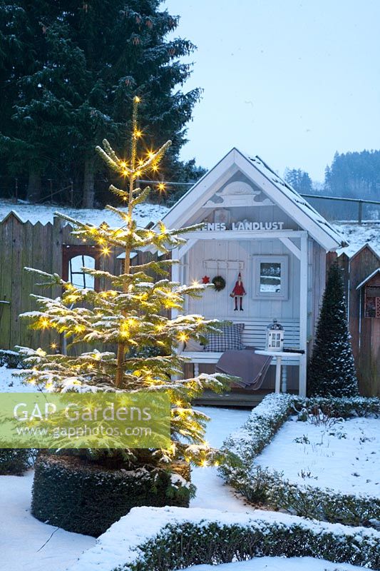 Garden in winter with illuminated Christmas tree 