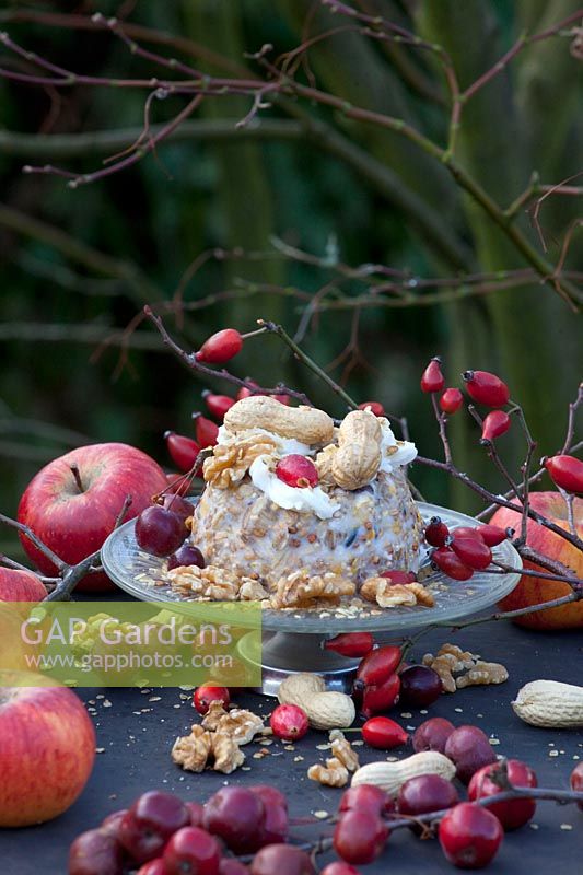 Small bird feeder cake with beef suet topping 