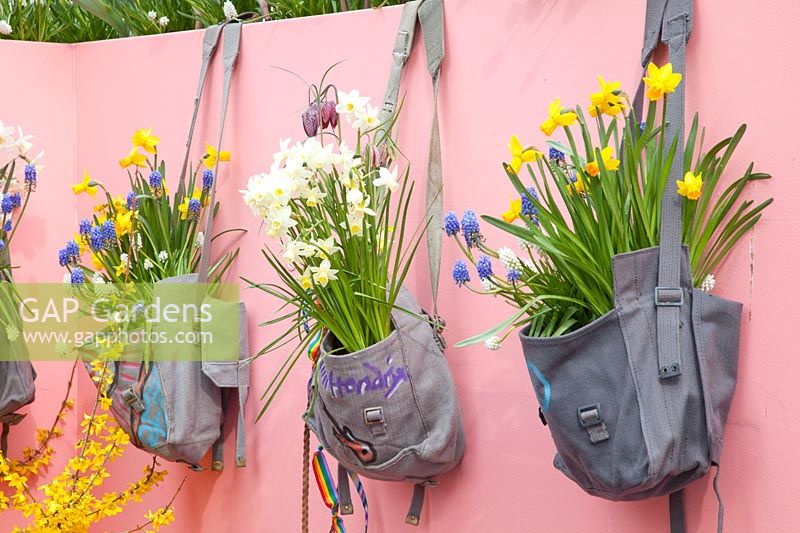 Bulb flowers in painted bags 