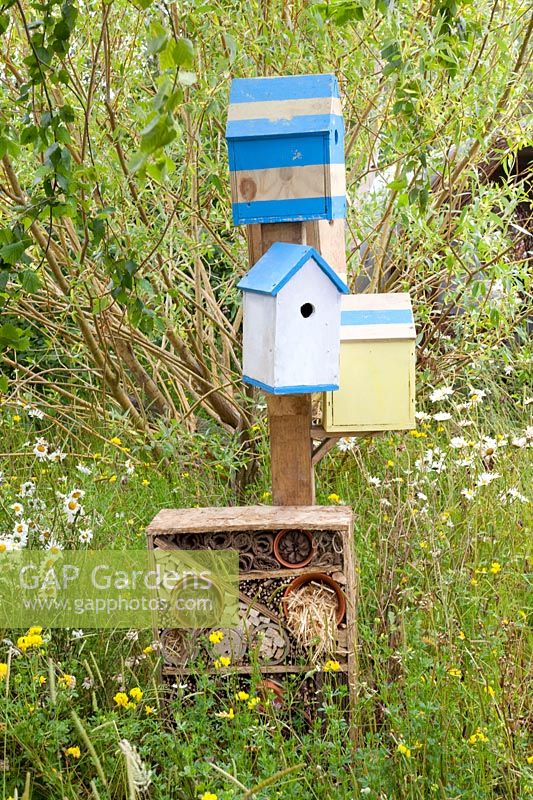Birdhouses and insect hotel in the natural garden 