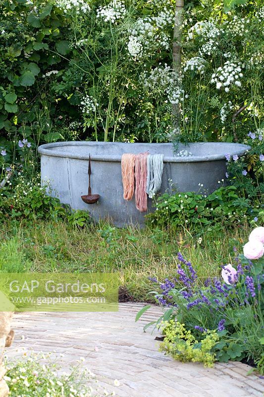 Cottage garden with old bathtub for dyeing wool 