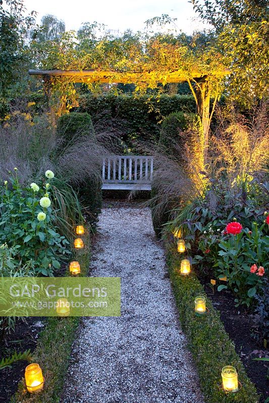 Garden with lighting 