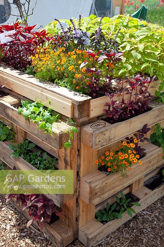 Herb garden made from recycled pallets 