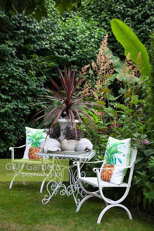 Seating area in the garden with Cordyline australis in a pot 