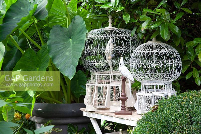 Vintage bird cages as garden decoration 