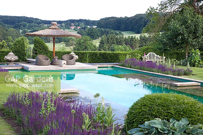 An organic pool with a view 