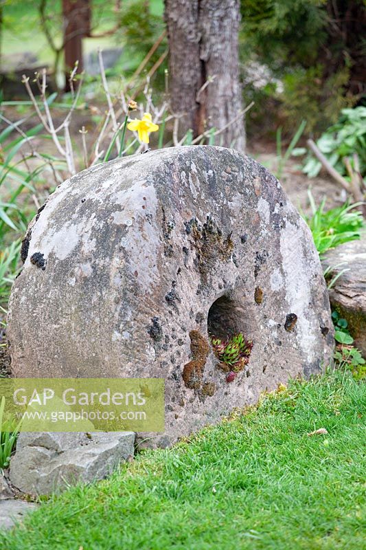 Millstone as garden decoration 