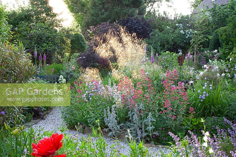 Bed with drought-tolerant perennials 