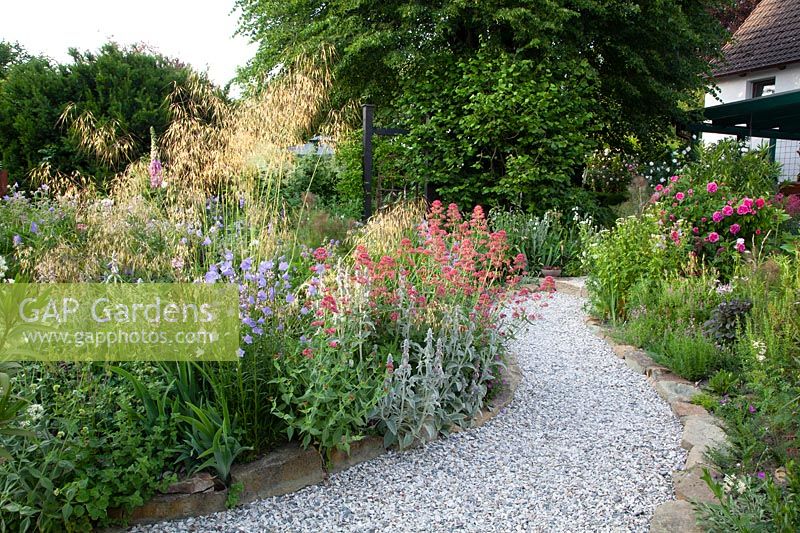 Bed with drought-tolerant perennials, Centranthus ruber, Stipa gigantea, Stachys byzantina 