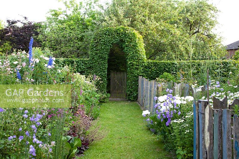 Country house garden with beech hedge, Fagus sylvatica 