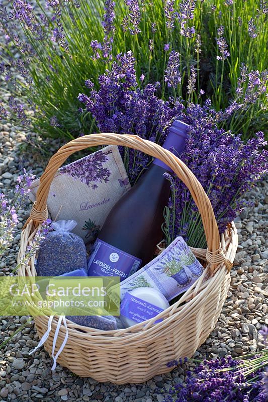 Still life with lavender products, lavender secco, lavender soaps, scented sachets 