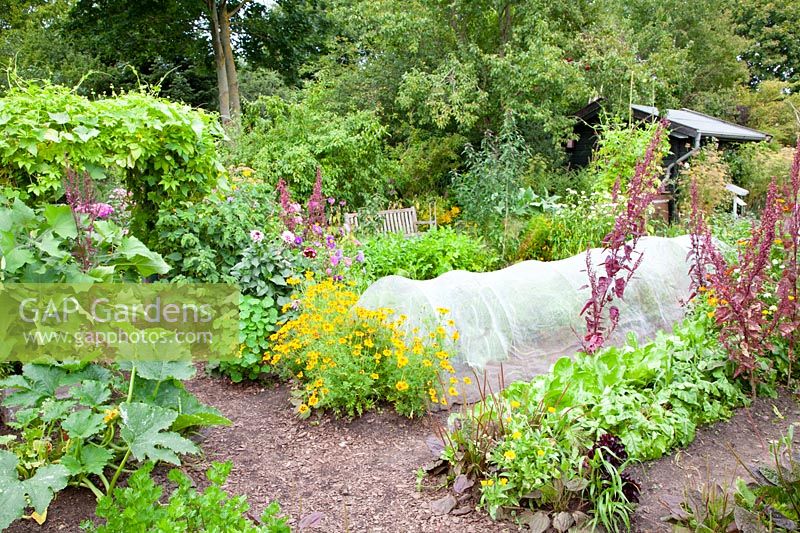 Vegetable garden with carrots and leeks under tunnel made of protective fleece 