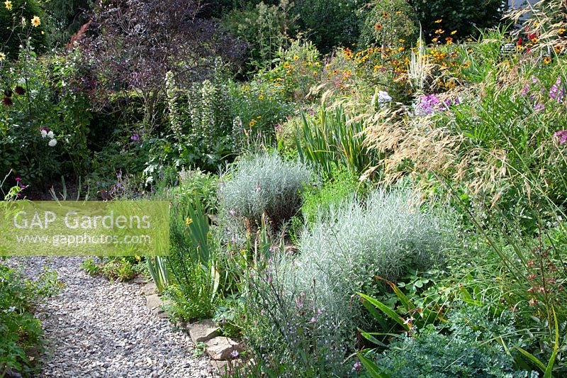 Dry bed with perennials and herbs 