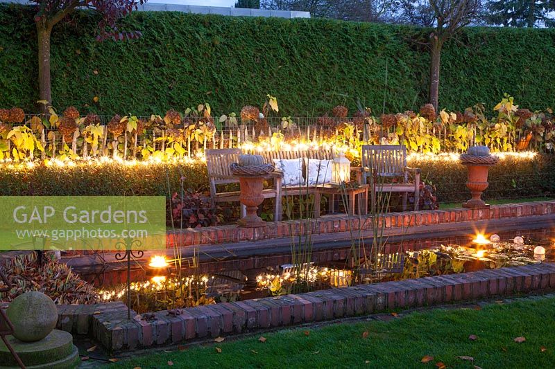 Christmas-lit garden 