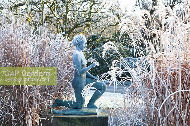Sculpture in the winter garden 