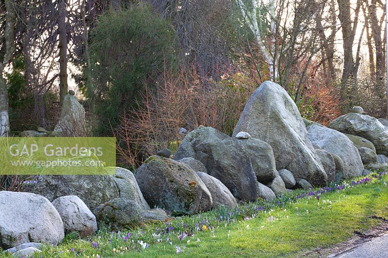 Boulders in the garden 