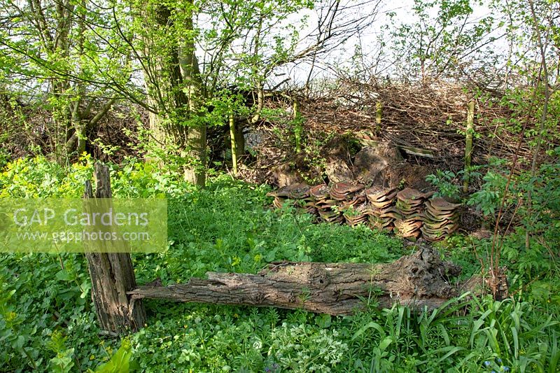 Benjeshecke, roof tiles and rotting tree in the natural garden 