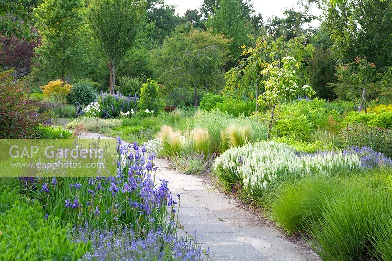 Garden with perennials and grasses 