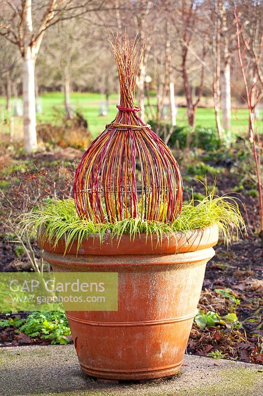 Garden decoration made of colorful dogwood branches 