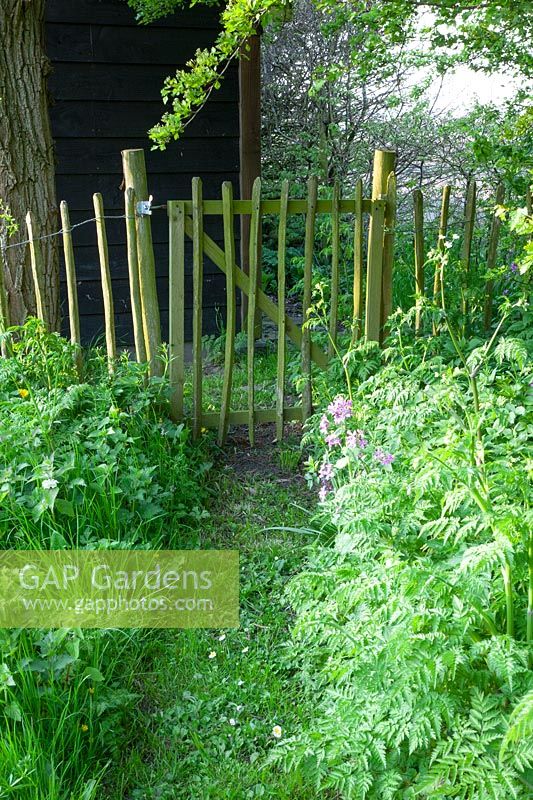 Picket fence in the natural garden 