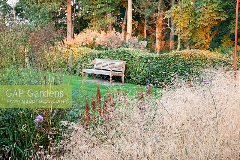 Seating in the garden, Deschampsia cespitosa Goldtau 