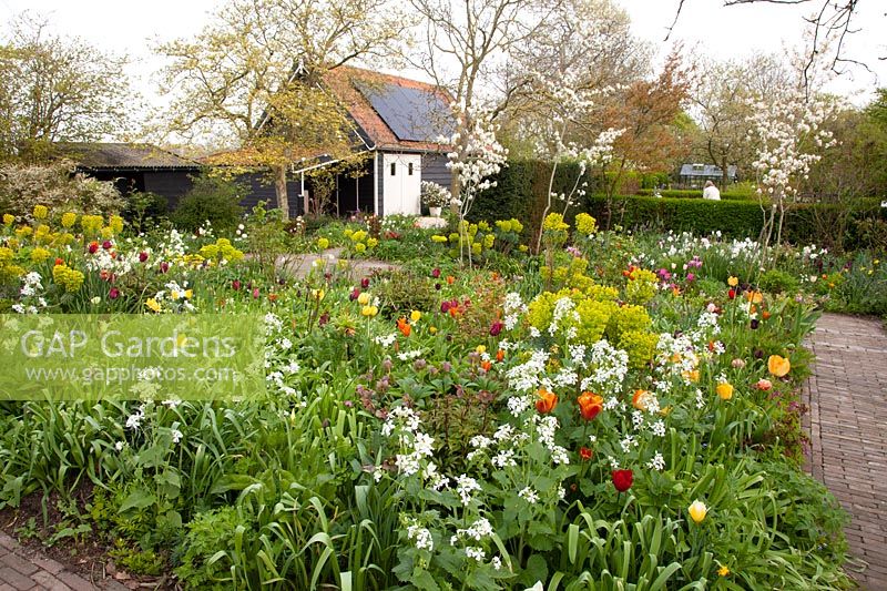 Country garden in spring 