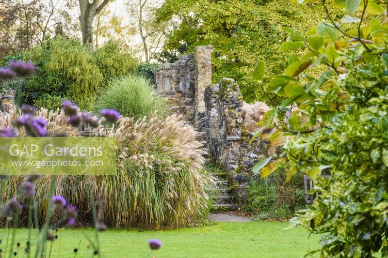View across the lawn to ruins and Autumn border with mixed grasses including Miscanthus sinensis 'Sirene' and Matteuccia struthiopteris.