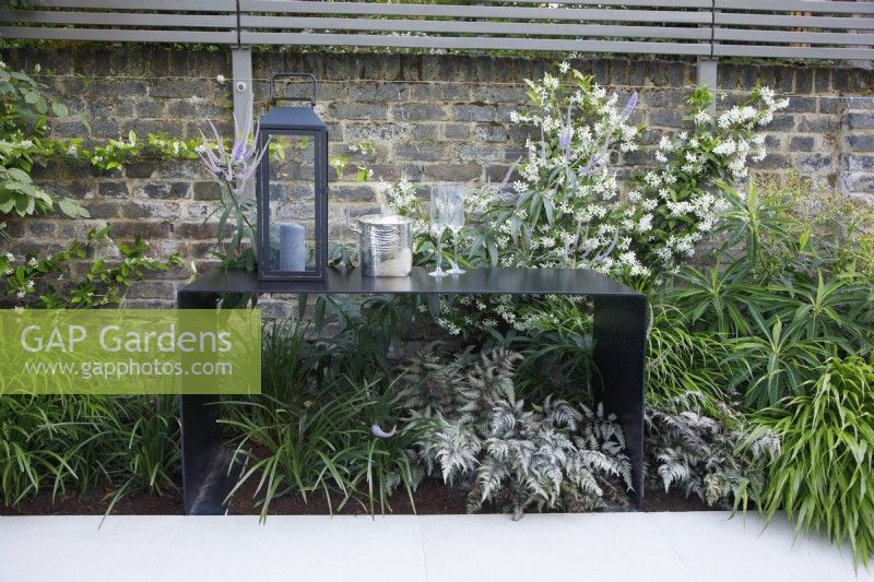 The folded metal table is surrounded by the planting which includes Hakonechloa macra, Euphorbia mellifera, Trachelospermum jasminoides, climbing against the wall and Athyrium nipocum 'Pewter Lace'