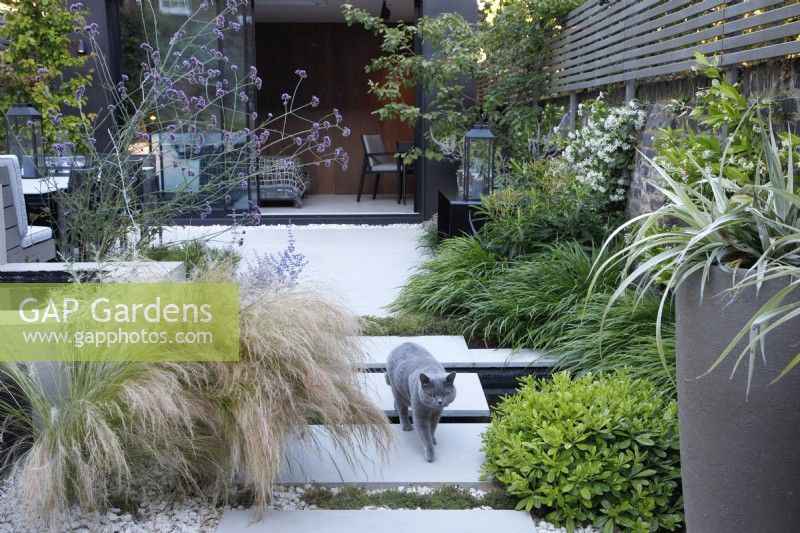 Cat walks over sandstone slabs over the sunken pond in a modern urban garden 