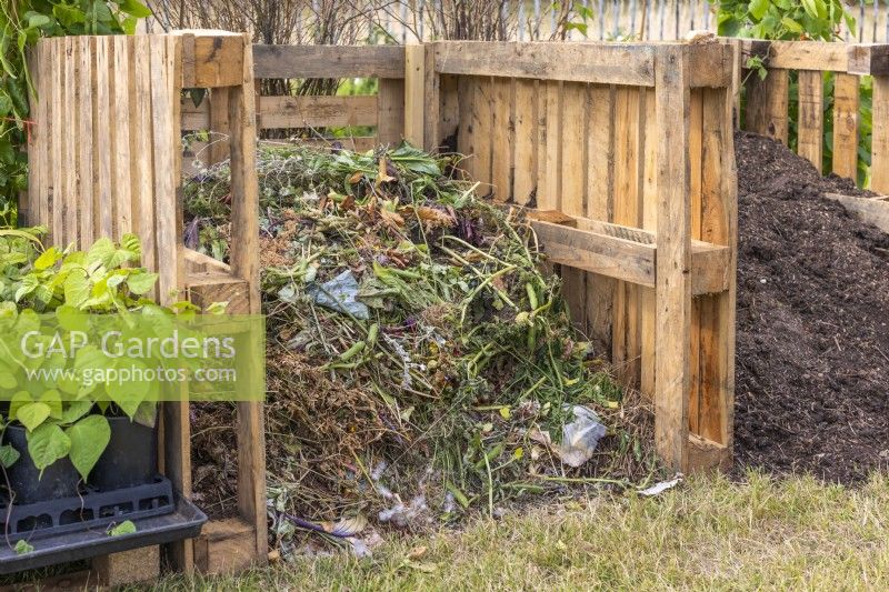 Compost bins made from recycled wooden pallets with garden waste and ready-to-use compost. RHS Iconic Horticultural Hero Garden, Designer: Carol Klein, RHS Hampton Court Palace Garden Festival 2023