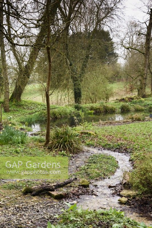 Pond at Cerney House Gardens in March